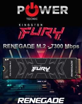 SSD_M.2_KINGSTON_RENEGADE_7